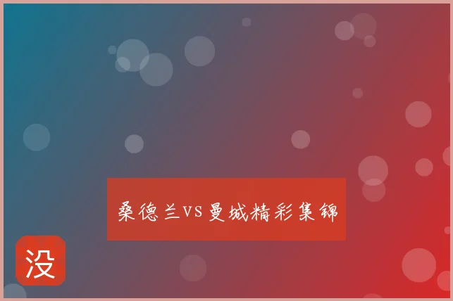 桑德兰vs曼城精彩集锦