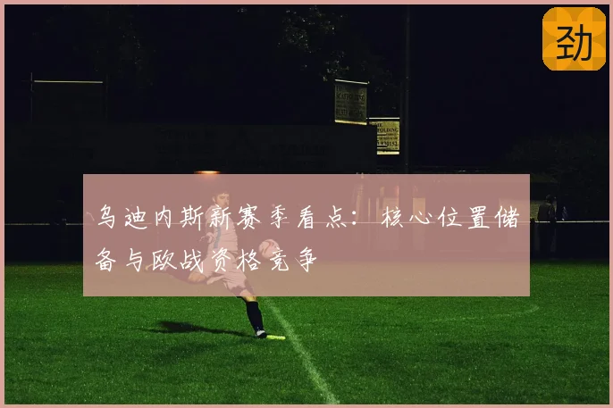 乌迪内斯新赛季看点：核心位置储备与欧战资格竞争